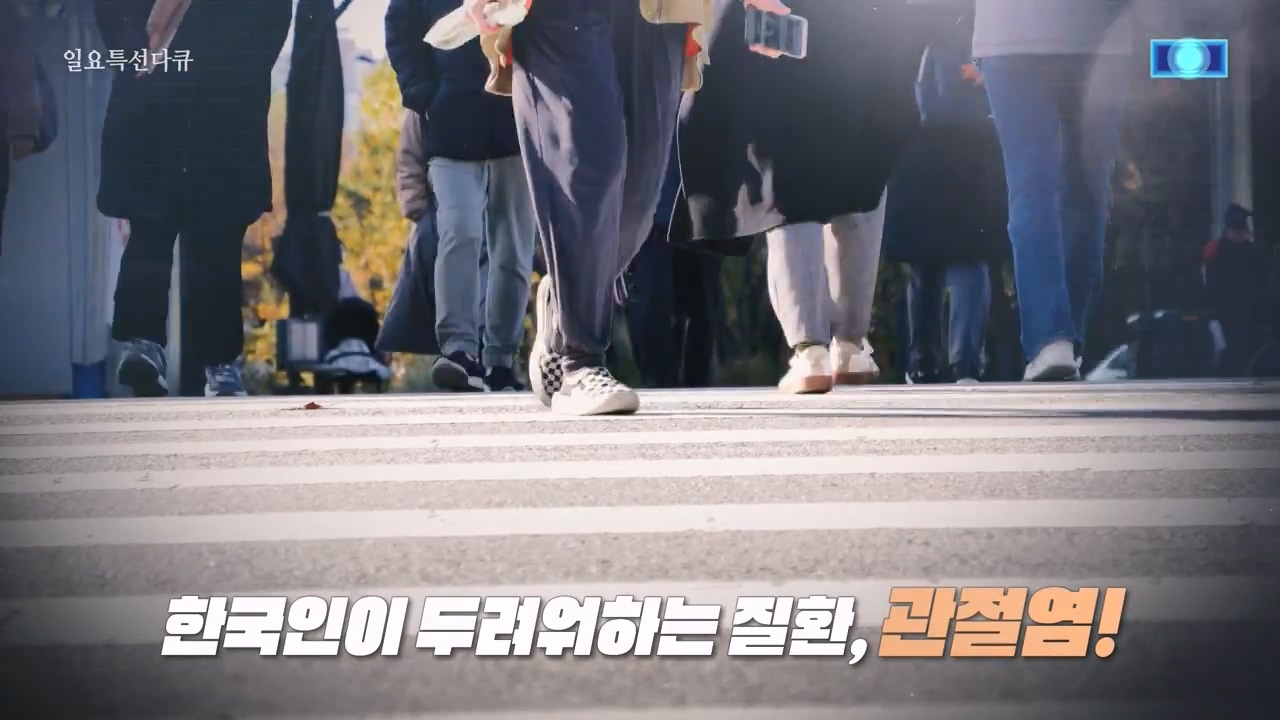 일요특선 다큐멘터리.E343.240304p-NEXT.mp4_20240305_200445.955.jpg