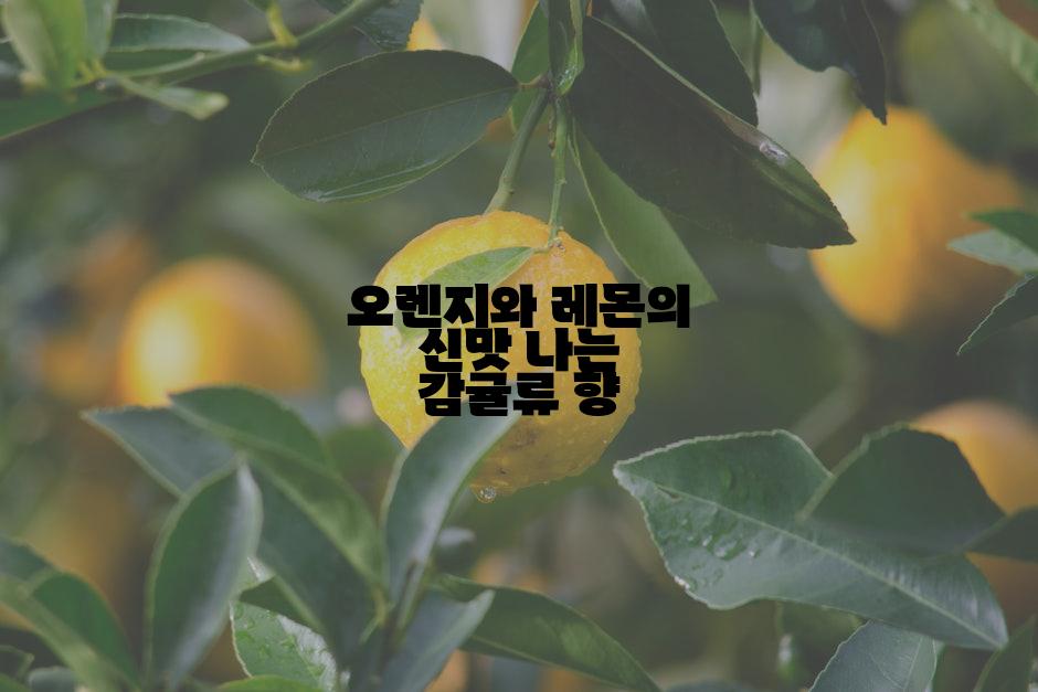 오렌지와 레몬의 신맛 나는 감귤류 향