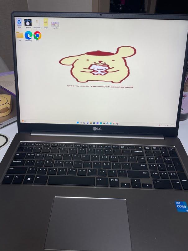 LG 울트라북 17U70Q