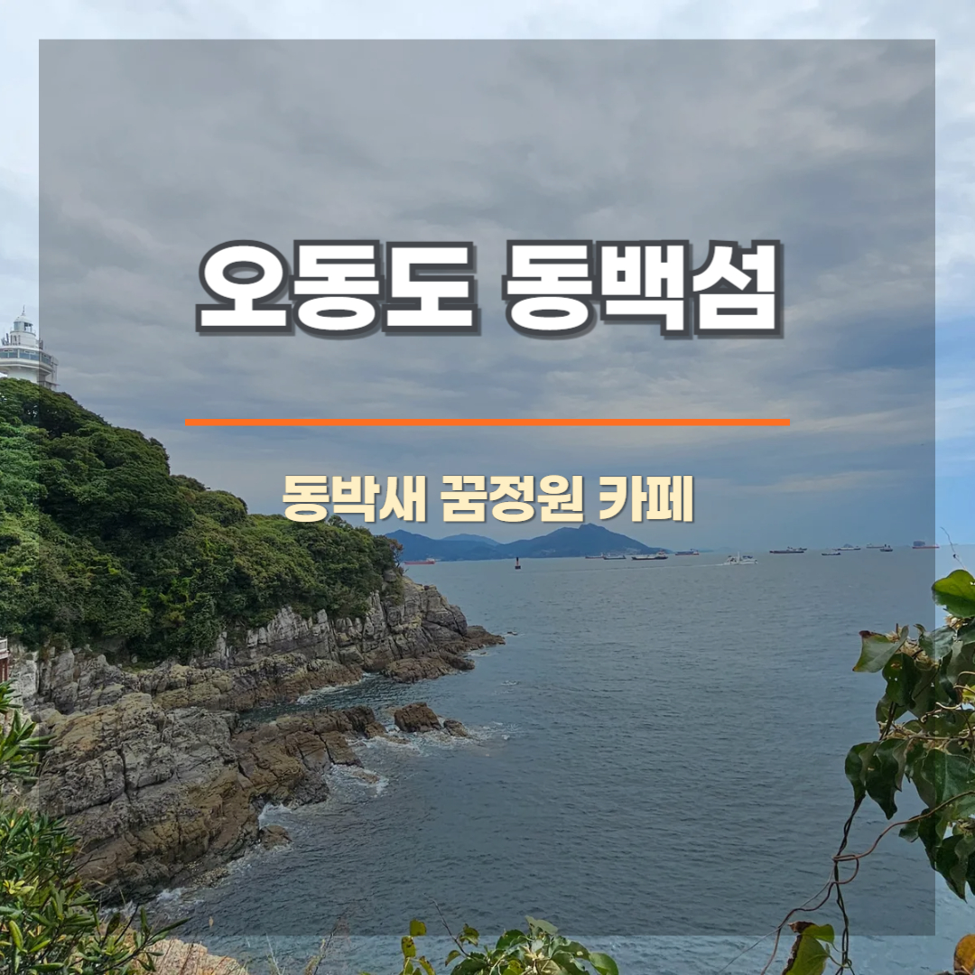 카페222 이미지