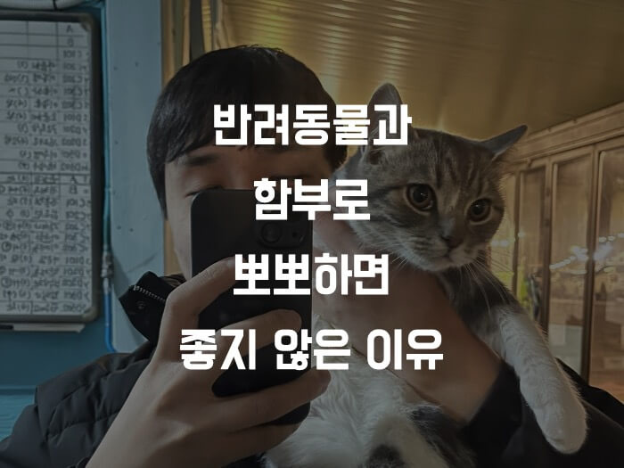  강아지, 고양이와 뽀뽀해도 될까? 뽀뽀는 되도록 피해야 하는 이유