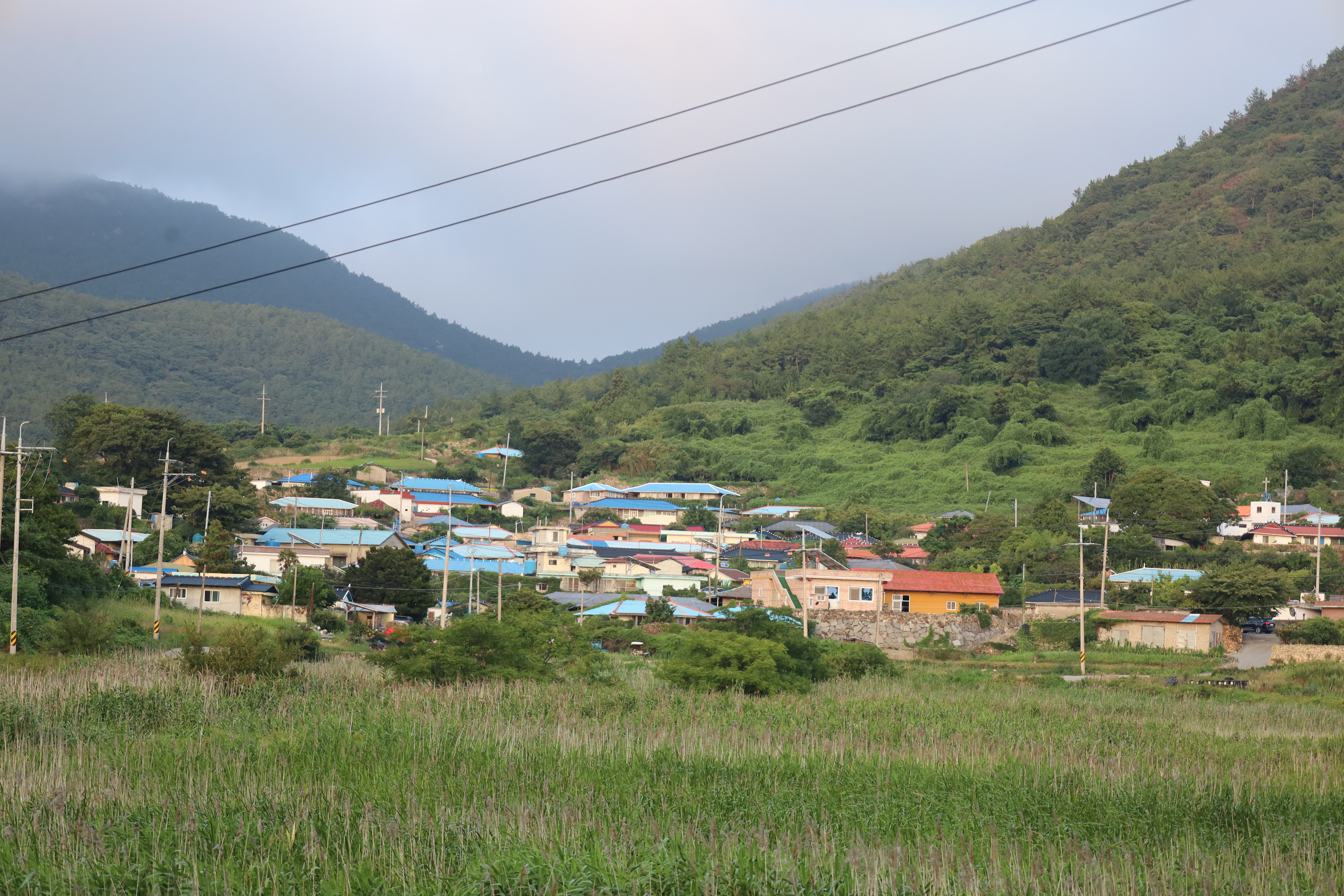  청산도 지리마을