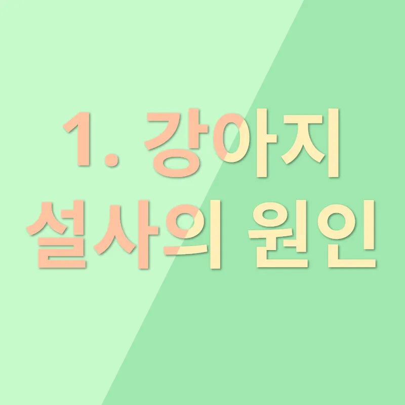 애견장례지도사_1