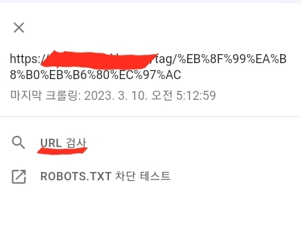 서치콘솔 URL 검사