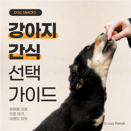 강아지-간식-잘-고르는-방법-썸네일