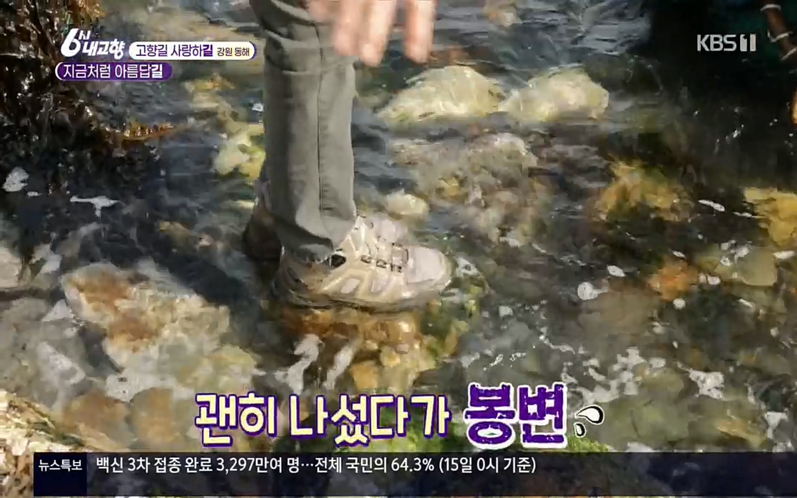 6시 내고향.E7512.220416p.H264-F1RST.mp4_20220502_191917.989.jpg