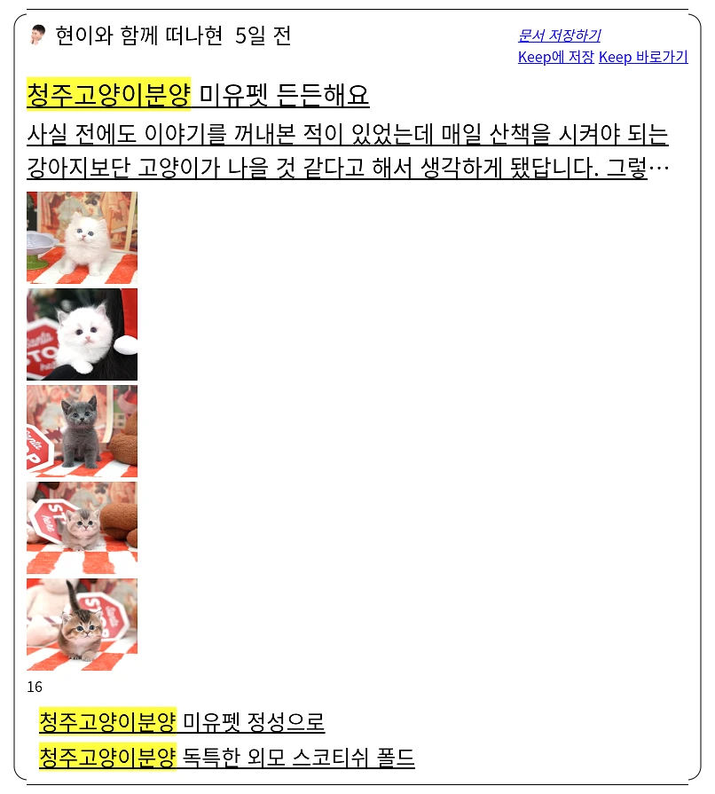 청주 고양이 분양_2_subsection