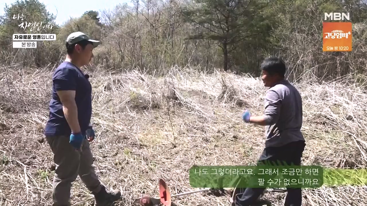 나는 자연인이다.E604.240509p-NEXT.mp4_20240509_195718.316.jpg