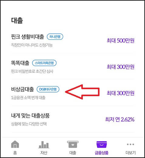 핀크 비상금대출 신청방법