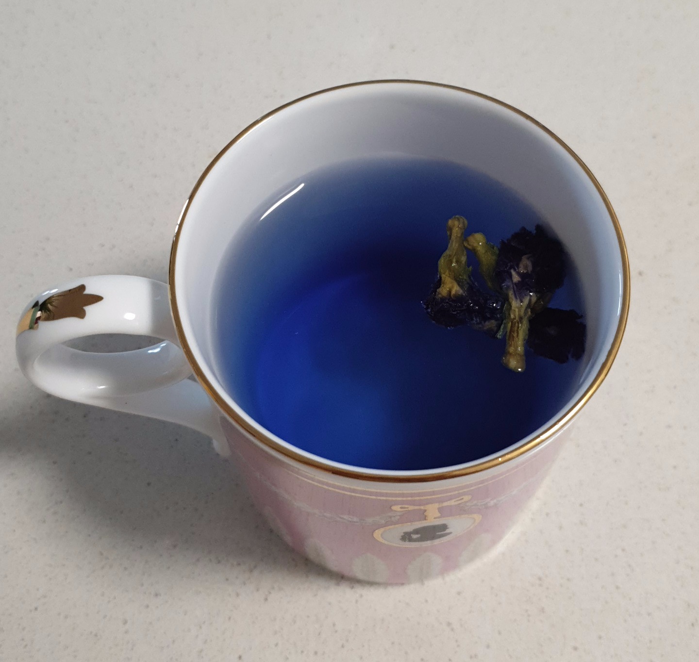 버터플라이 피 차(Butterfly Pea Tea)