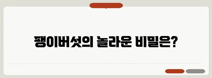팽이버섯 효능 한번 정확하게 알아보도록 하죠