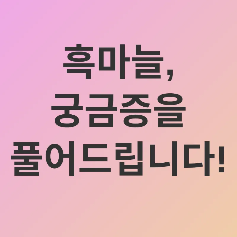 흑마늘 효능_4