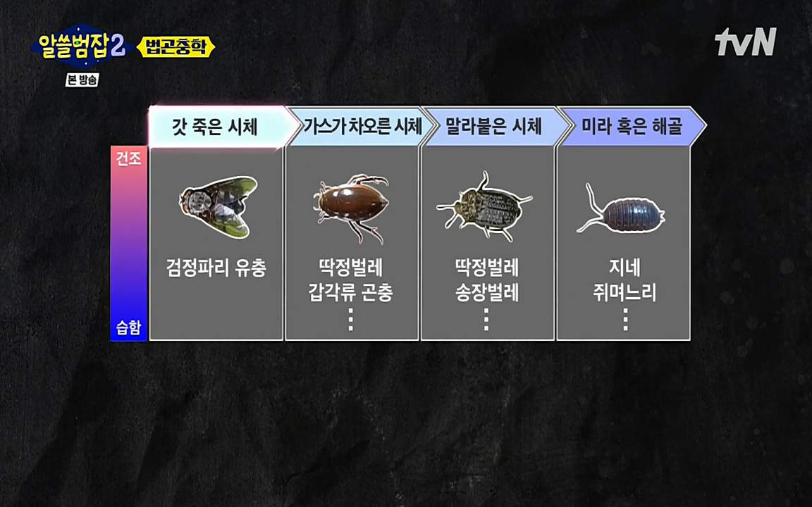 알쓸범잡 2.E15.220425p-NEXT.mp4_20220425_181122.423.jpg