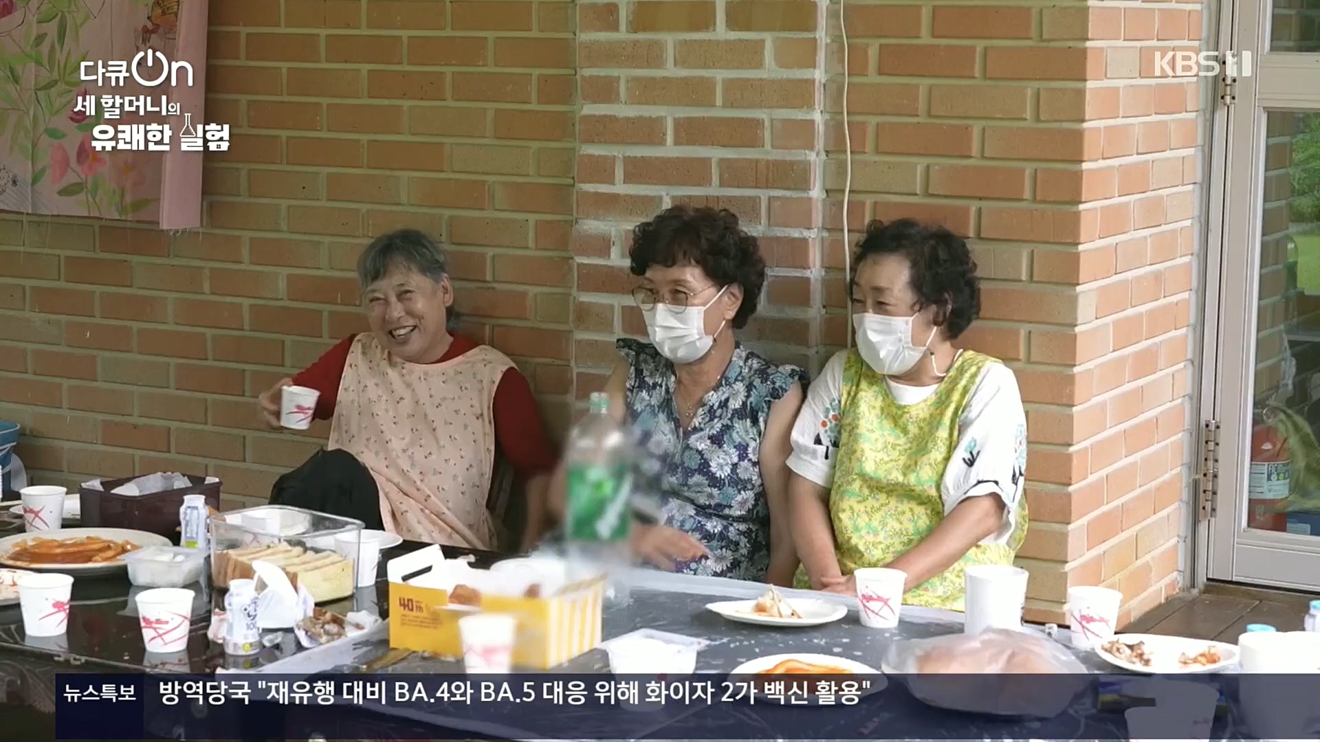 다큐 On.E166.221028p.H264-F1RST.mp4_20221031_194355.243.jpg