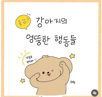 강아지 행동별 특징 의미 강아지 신호 해석 방법_2
