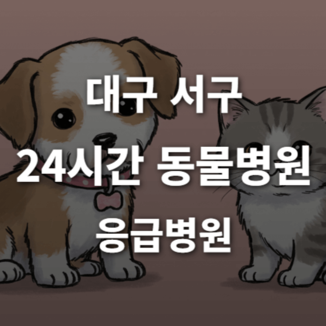 [대구 서구 24시간 동물병원(내당동)] 365일 연중무휴 반려동물 응급상황 대처 가능한 진료소