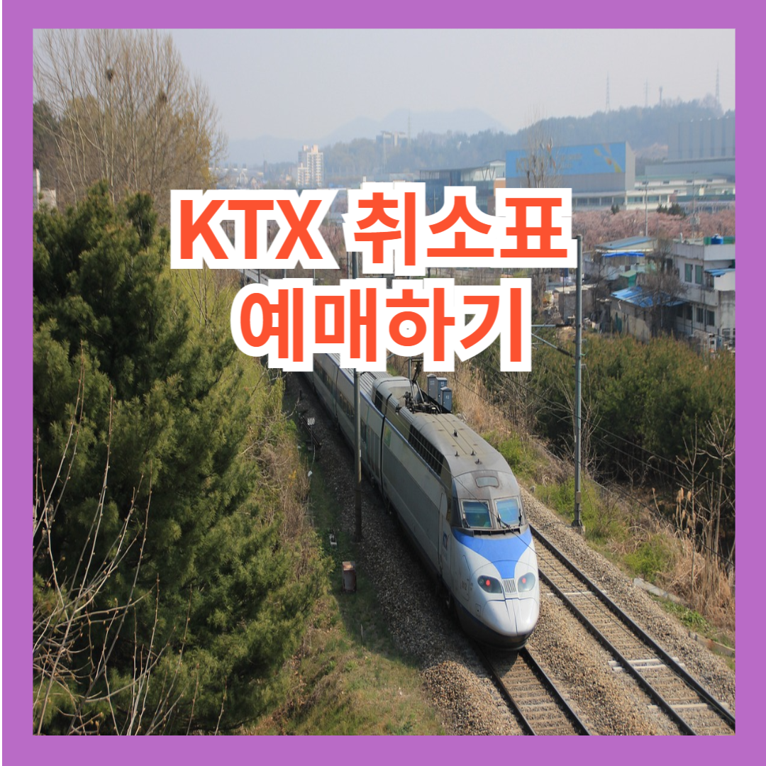 KTX 취소표 예매하기 꿀팁 방법들 방출