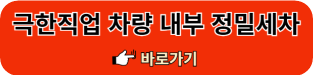 극한직업-정밀세차