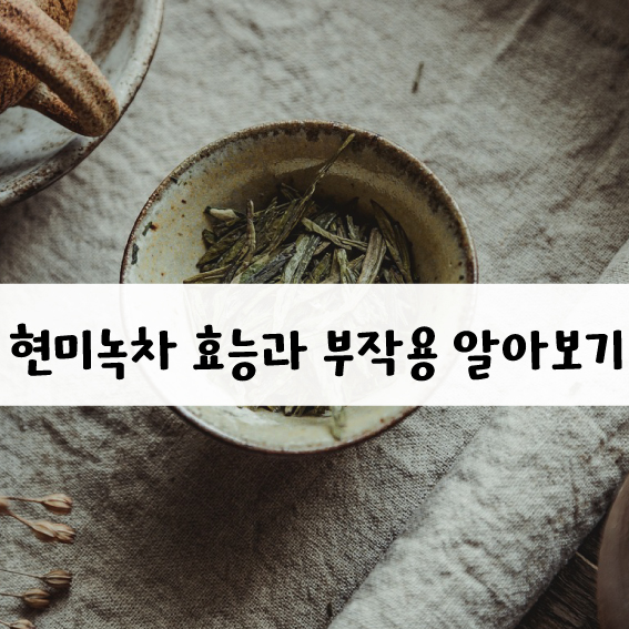 현미녹차 효능과 부작용을 알아보자 🍵 (보관 방법) 현미녹차 효능과 부작용을 알아보자 🍵 (보관 방법)