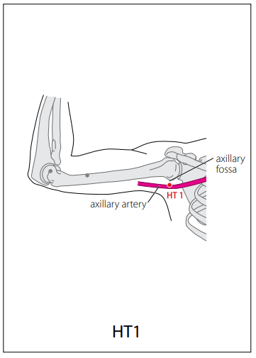 수소음심경(HT) > HT1 극천 (極泉) 1