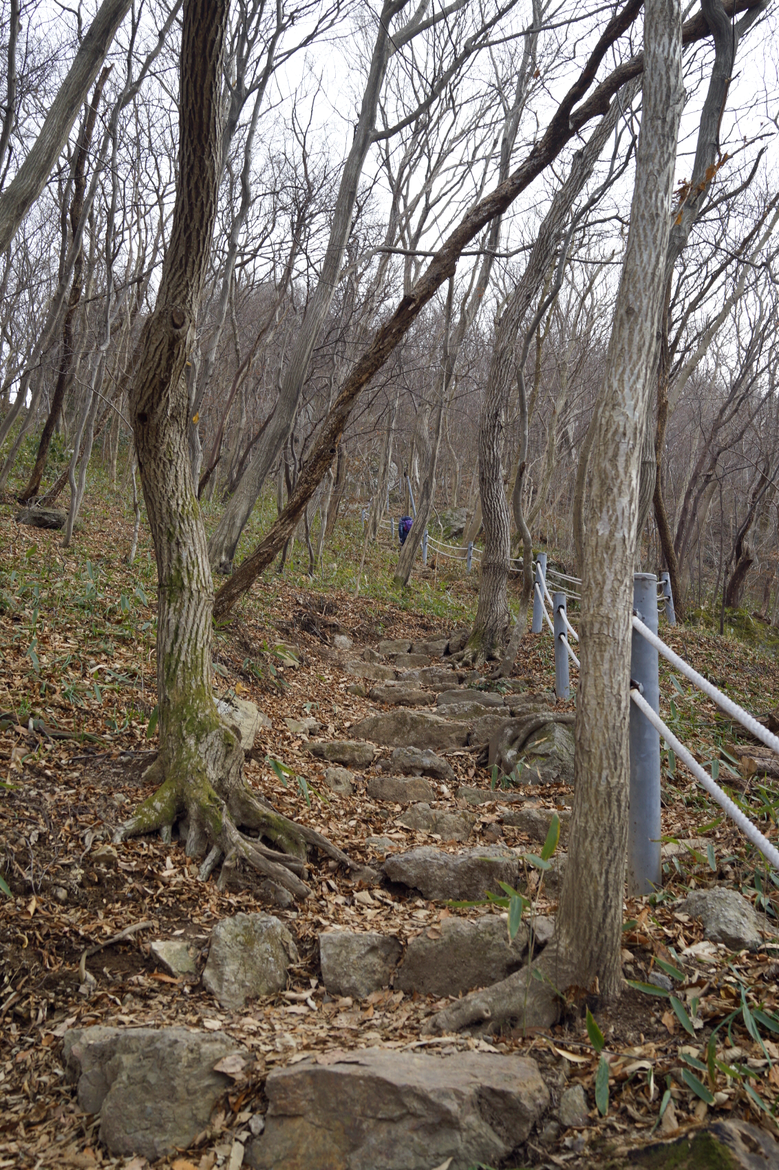 한국 명산 전남 영광 여행 불갑산 등산 mountain hiking