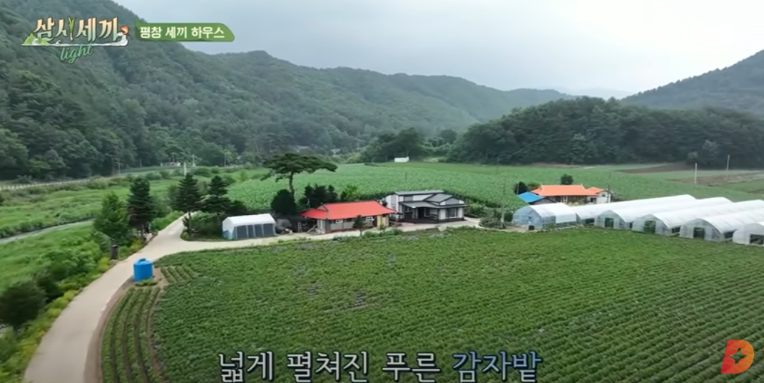 삼시세끼 시청률! 역대 최고 기록과 프로그램의 인기 분석