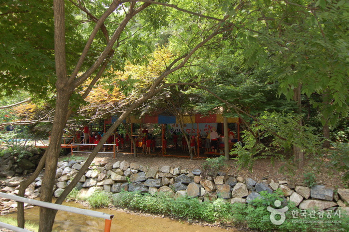 대둔산 자연휴양림 캠핑장