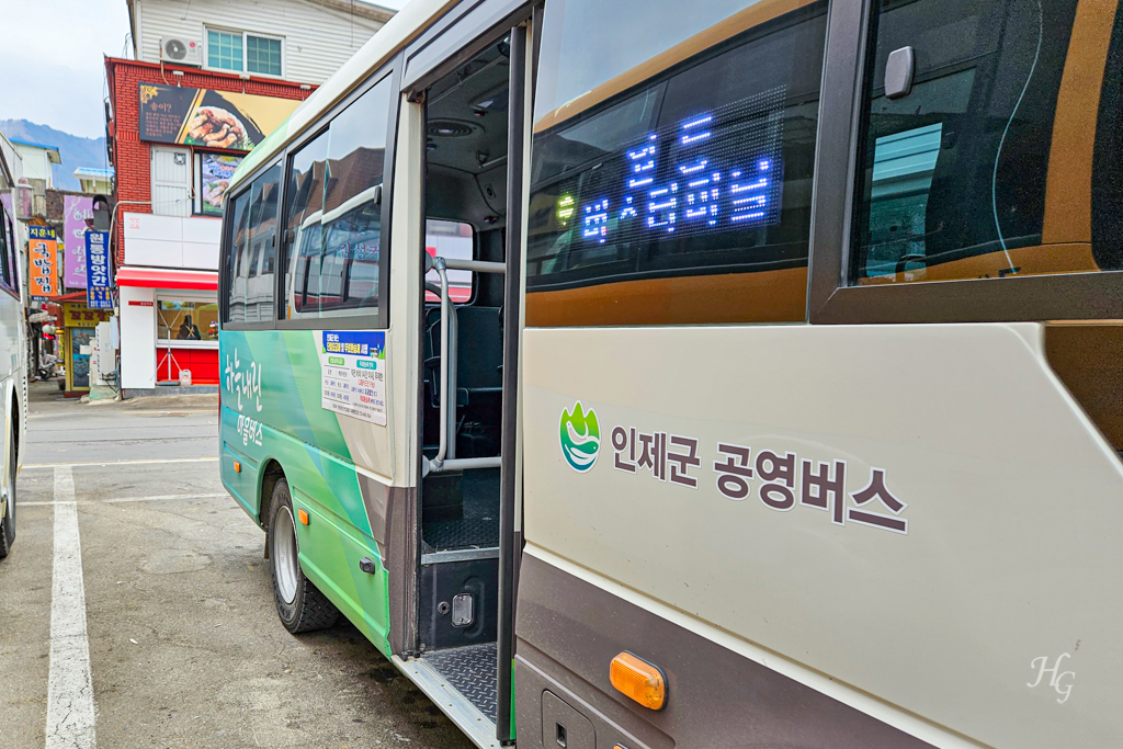 인제군 하늘내린 마을버스 자작나무숲 갈 수 있는 버스