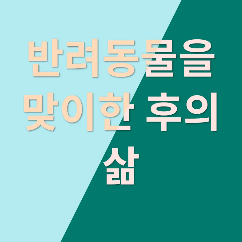 반려동물 입양의 진심_3