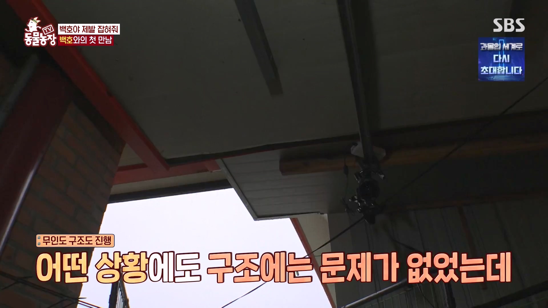 TV 동물농장.E1151.231224p-NEXT.mp4_20231224_154135.185.jpg