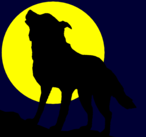 달 밤에 울부짖고 있는 늑대 그림