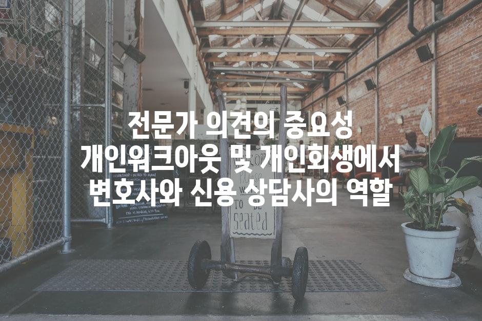 전문가 의견의 중요성 개인워크아웃 및 개인회생에서 변호사와 신용 상담사의 역할