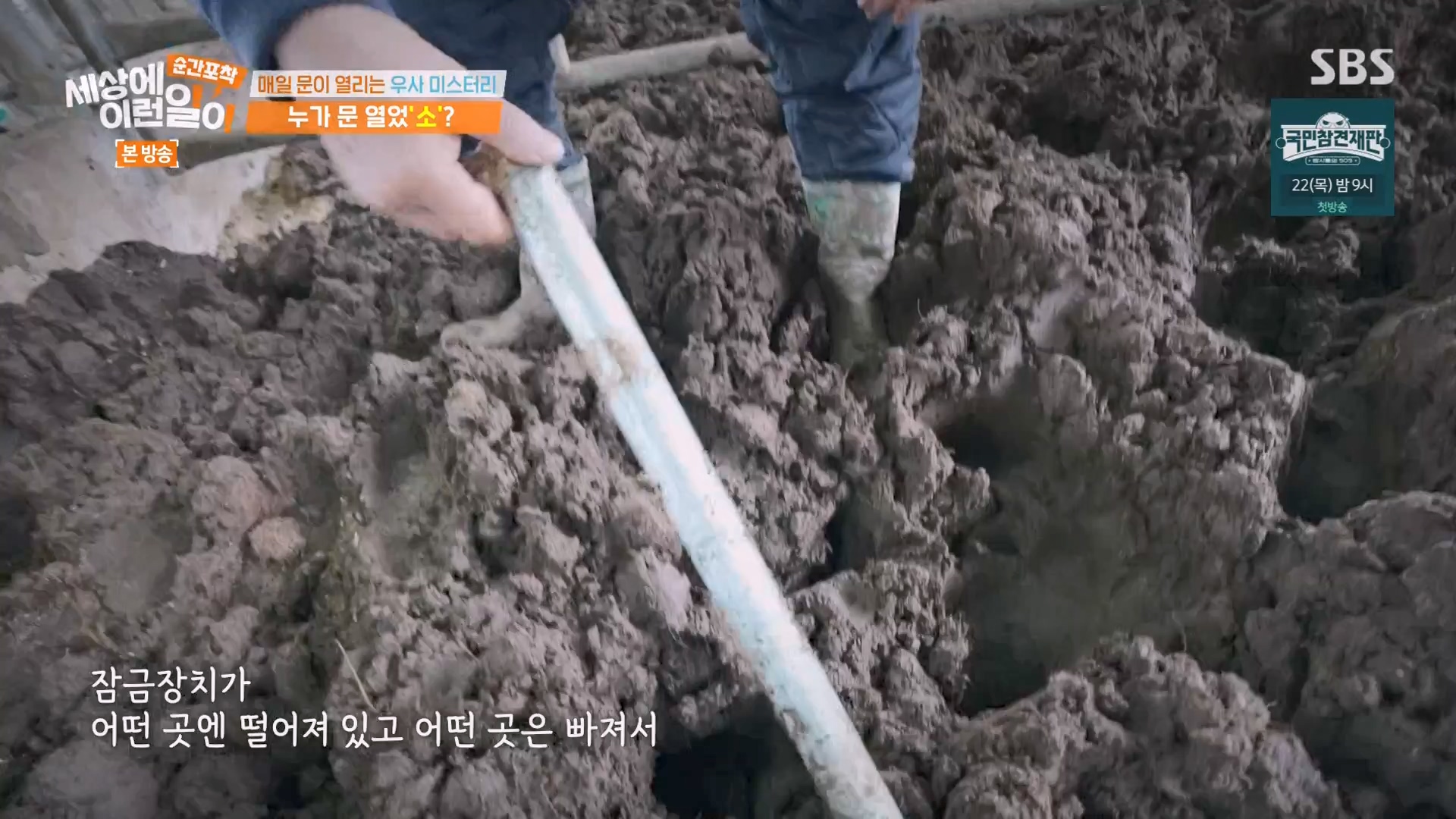 순간포착 세상에 이런일이.E1265.240217p-NEXT.mp4_20240218_151658.291.jpg