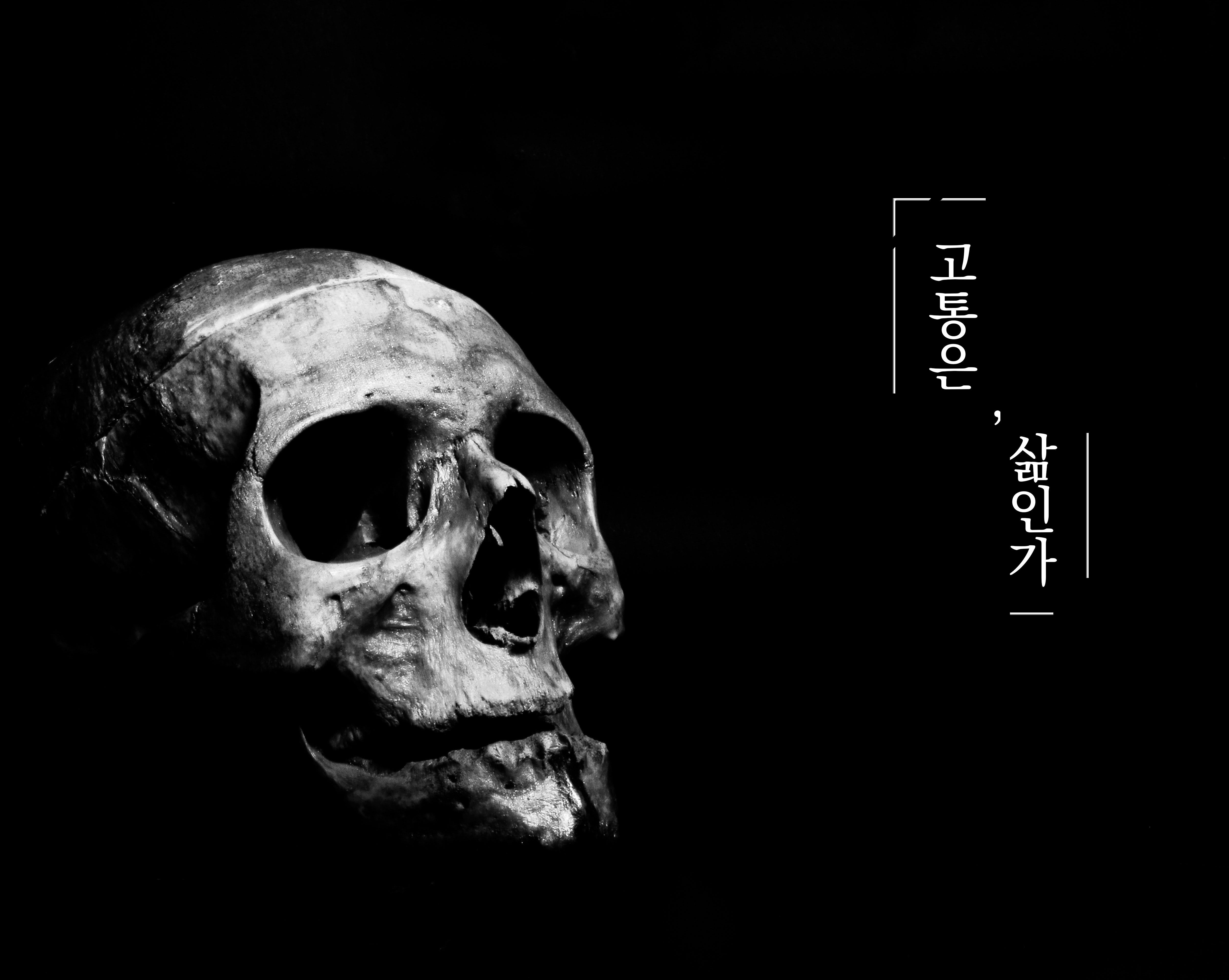  고통은, 삶인가_01