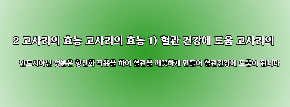 2 고사리의 효능 고사리의 효능 1) 혈관 건강에 도움 고사리의 안토시아닌 성분은 항산화 작용을 하여 혈관을 깨끗하게 만들어 혈관건강에 도움이 됩니다