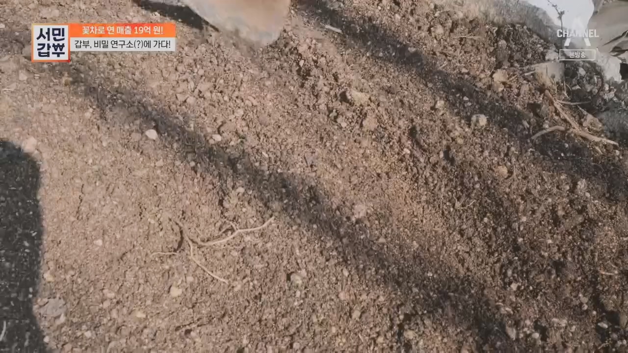 서민갑부.E431.230416p.H264-F1RST.mp4_20230417_203828.416.jpg
