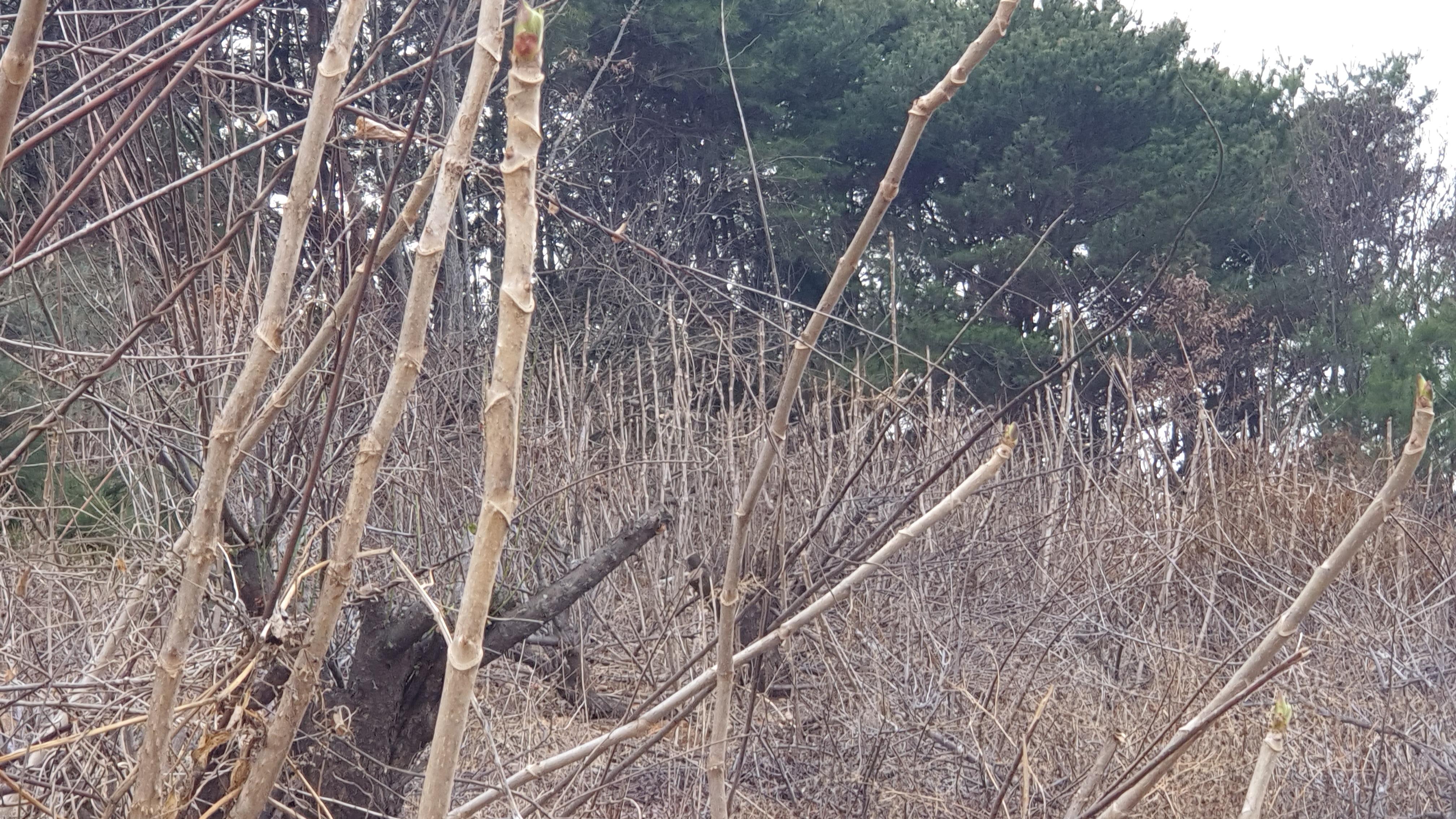 하동운하 굴착 경상남도 하동군 전지역 동원 2
