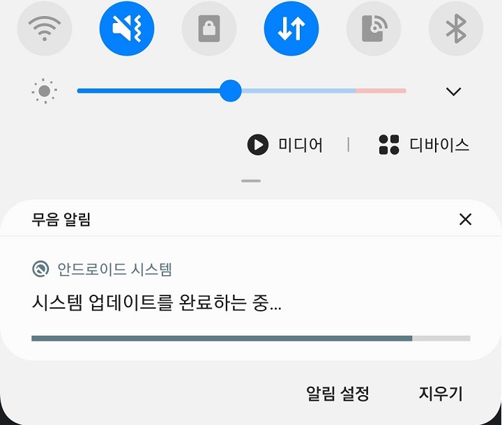 시스템 업데이트를 완료하는중 보임