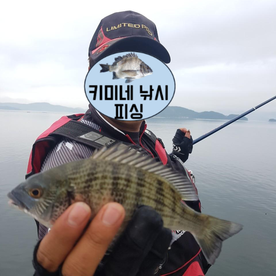  거제도 가조도 신전방파제 근처 작은 선착장 방파제