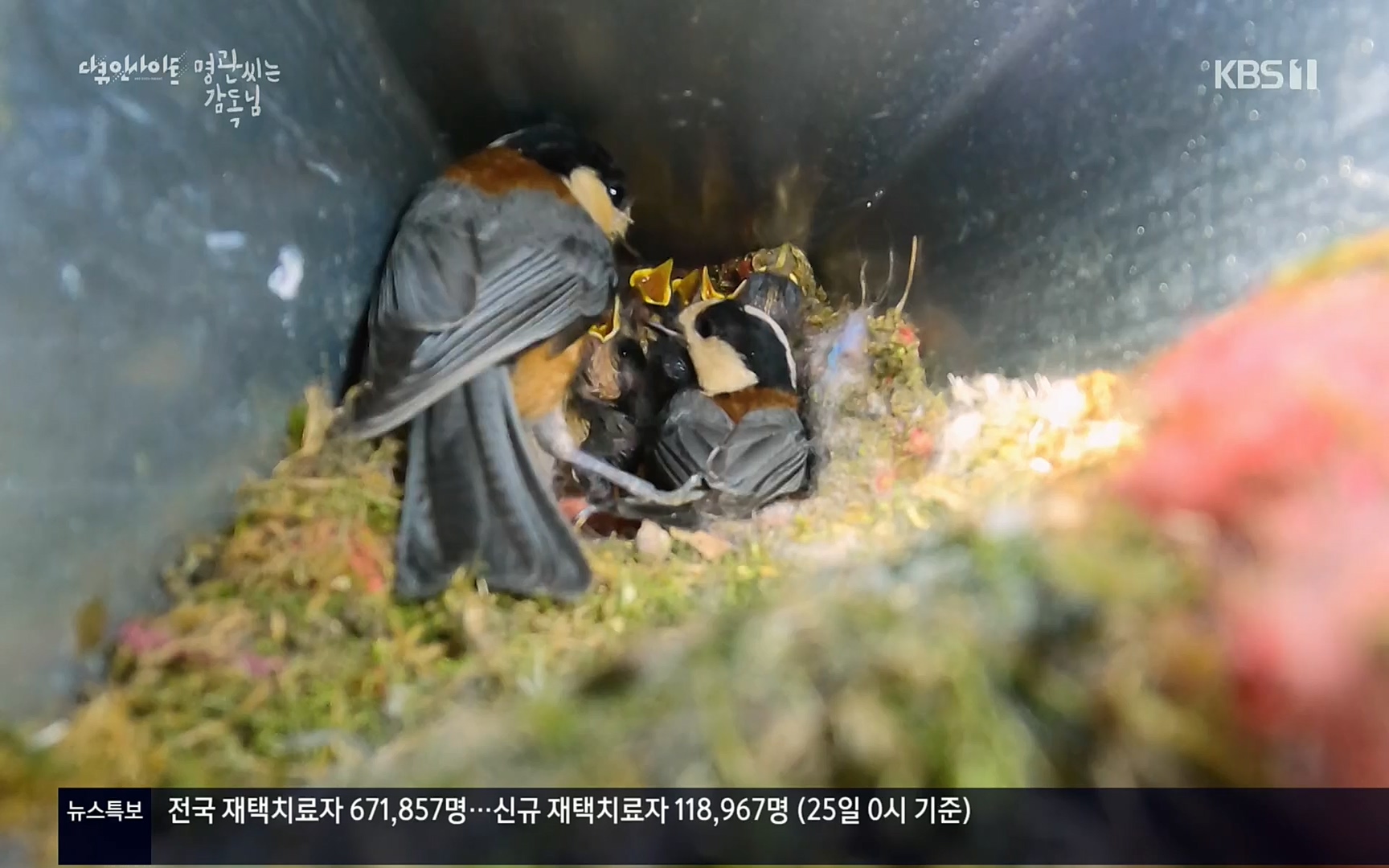 다큐 인사이트.E122.220825p.H264-F1RST.mp4_20220826_152316.867.jpg