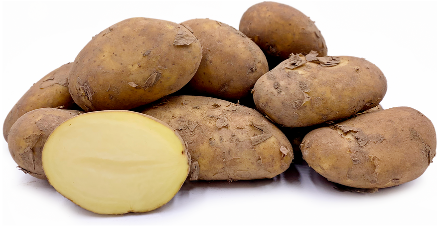  저지 로열 감자 Jersey Royal Potato 에 대해서 알아볼게요.