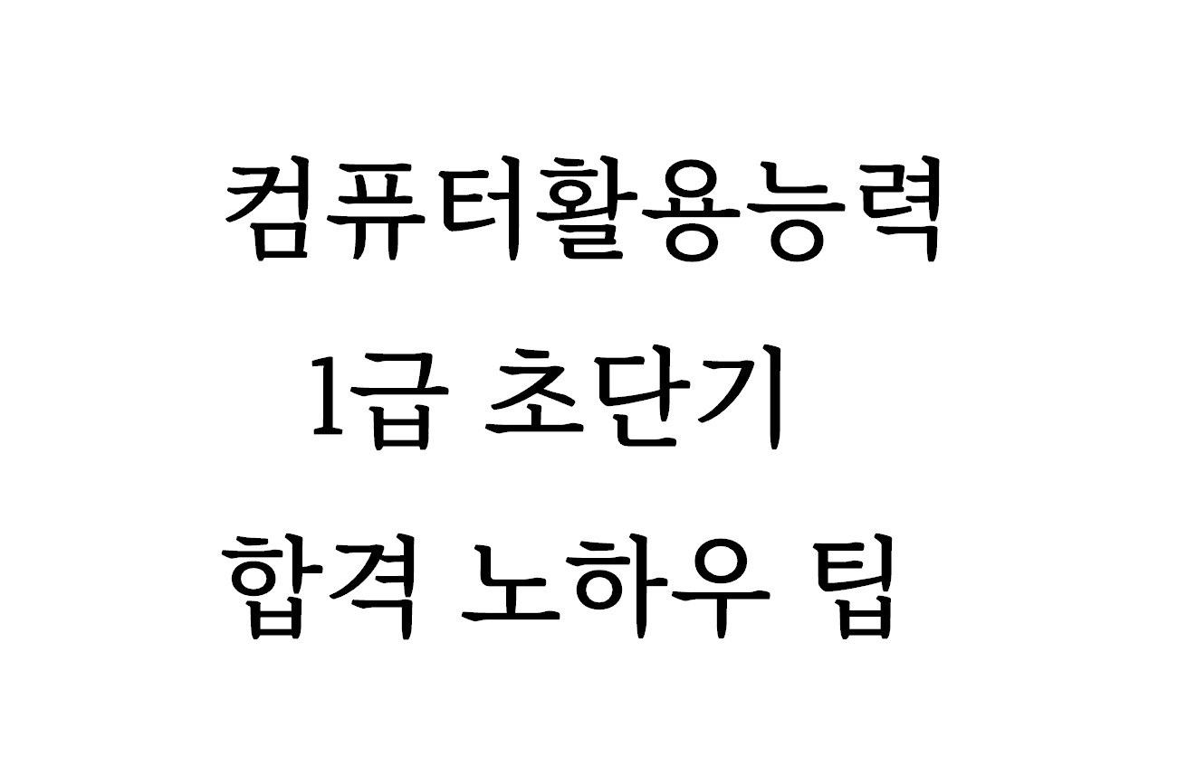  컴퓨터활용능력 컴활 1급 시험 합격 1달 안에 하는 방법