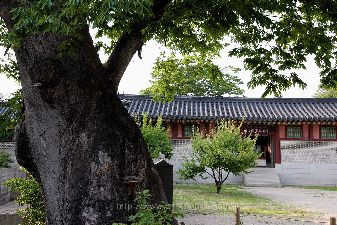 창덕궁 Changdeokgung Palace