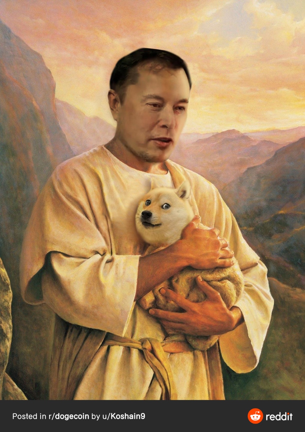  머스크와 도지