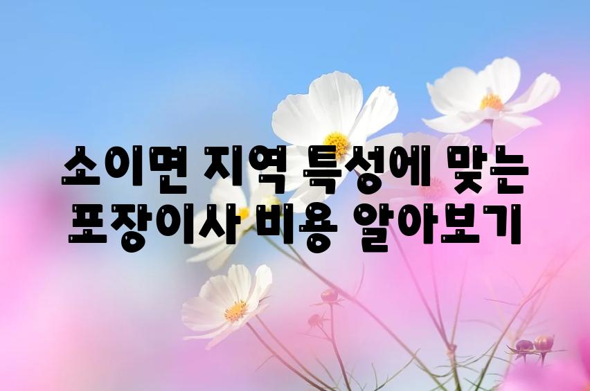 소이면 지역 특성에 맞는 포장이사 비용 알아보기