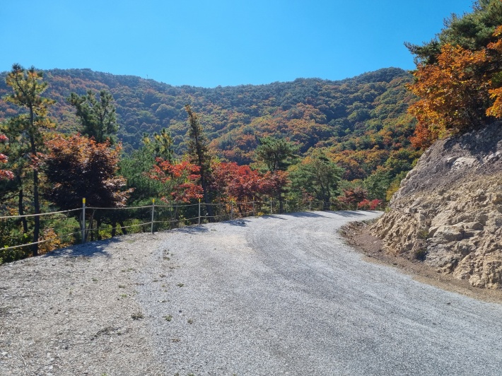 능선길-단풍