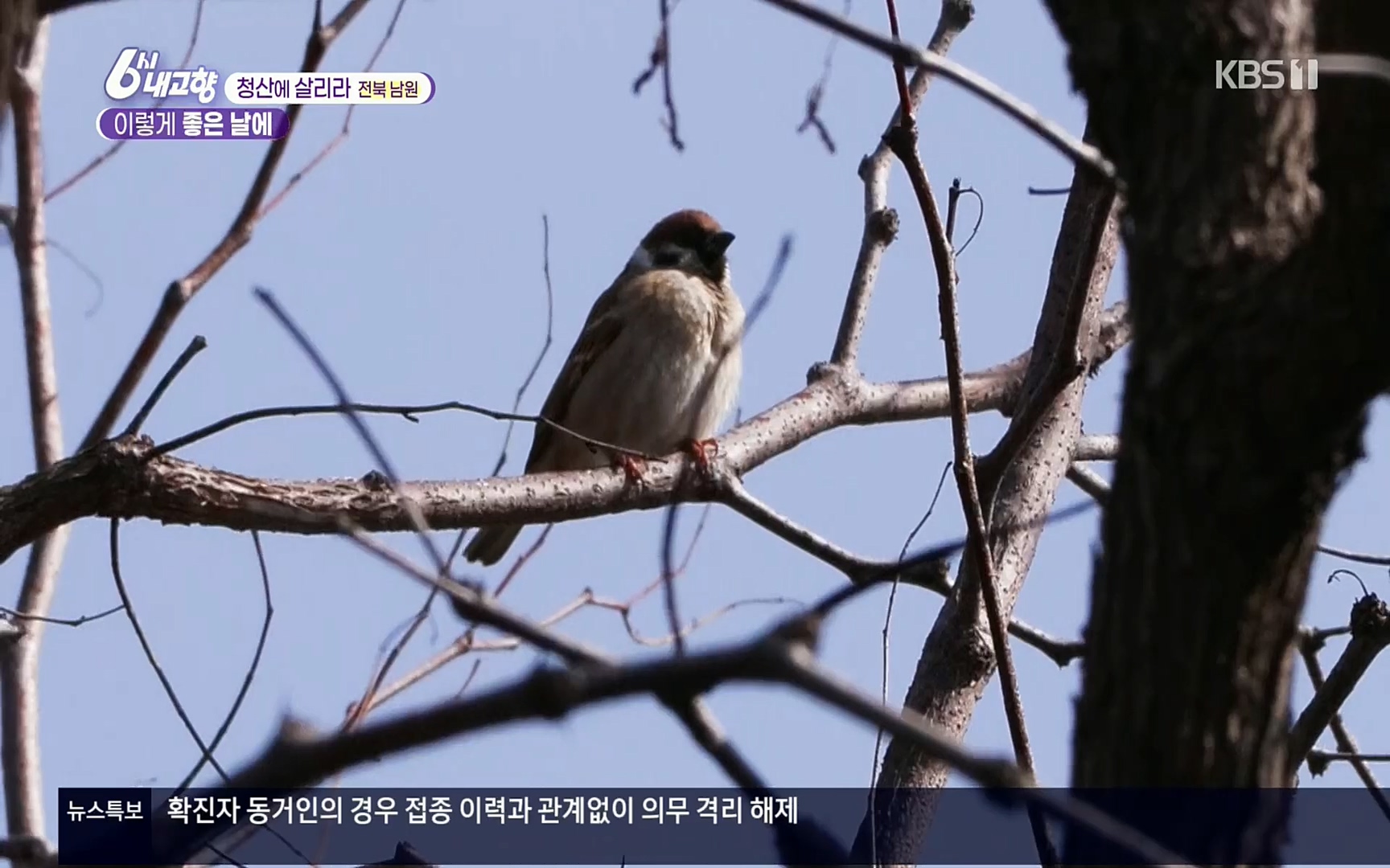 6시 내고향.E7496.220324p.H264-F1RST.mp4_20220328_181017.631.jpg
