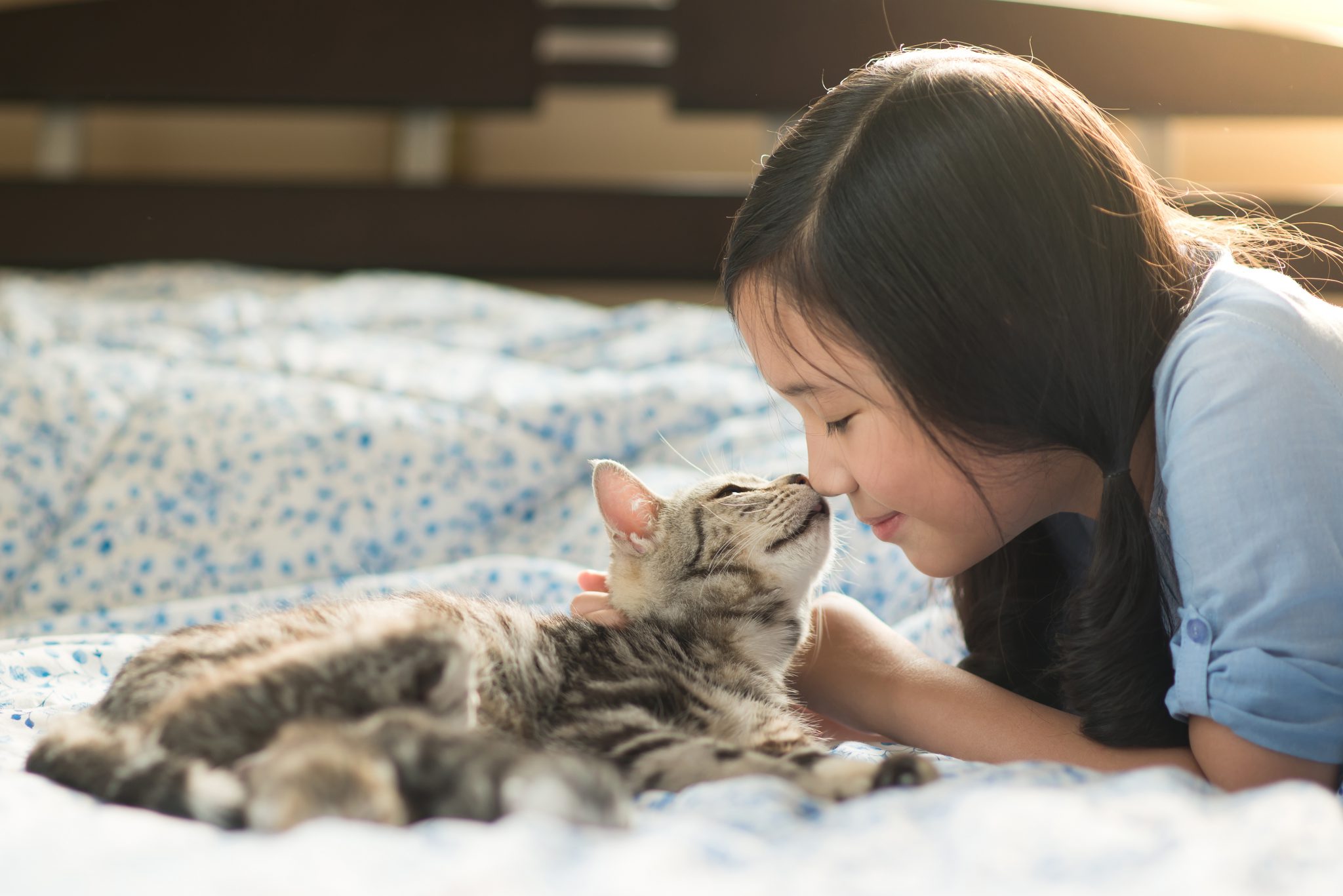 집사를 좋아하는 고양이 울음소리의 특징 3가지