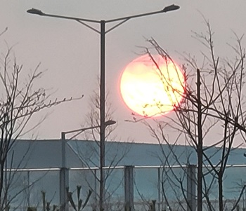 목표치-설정-청산-기준-기술적-차트-분석