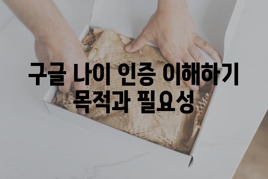 구글 나이 인증 이해하기 목적과 필요성